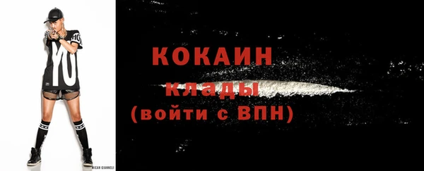 скорость Ельня