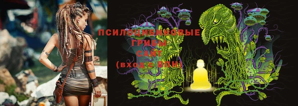 МДПВ Богородск