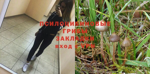 круглые Богородицк