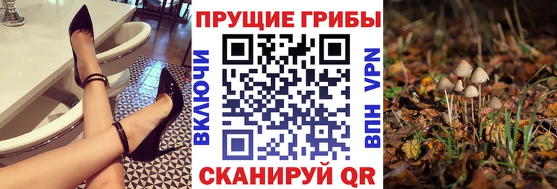 Псилоцибиновые грибы Psilocybe  Мирный 